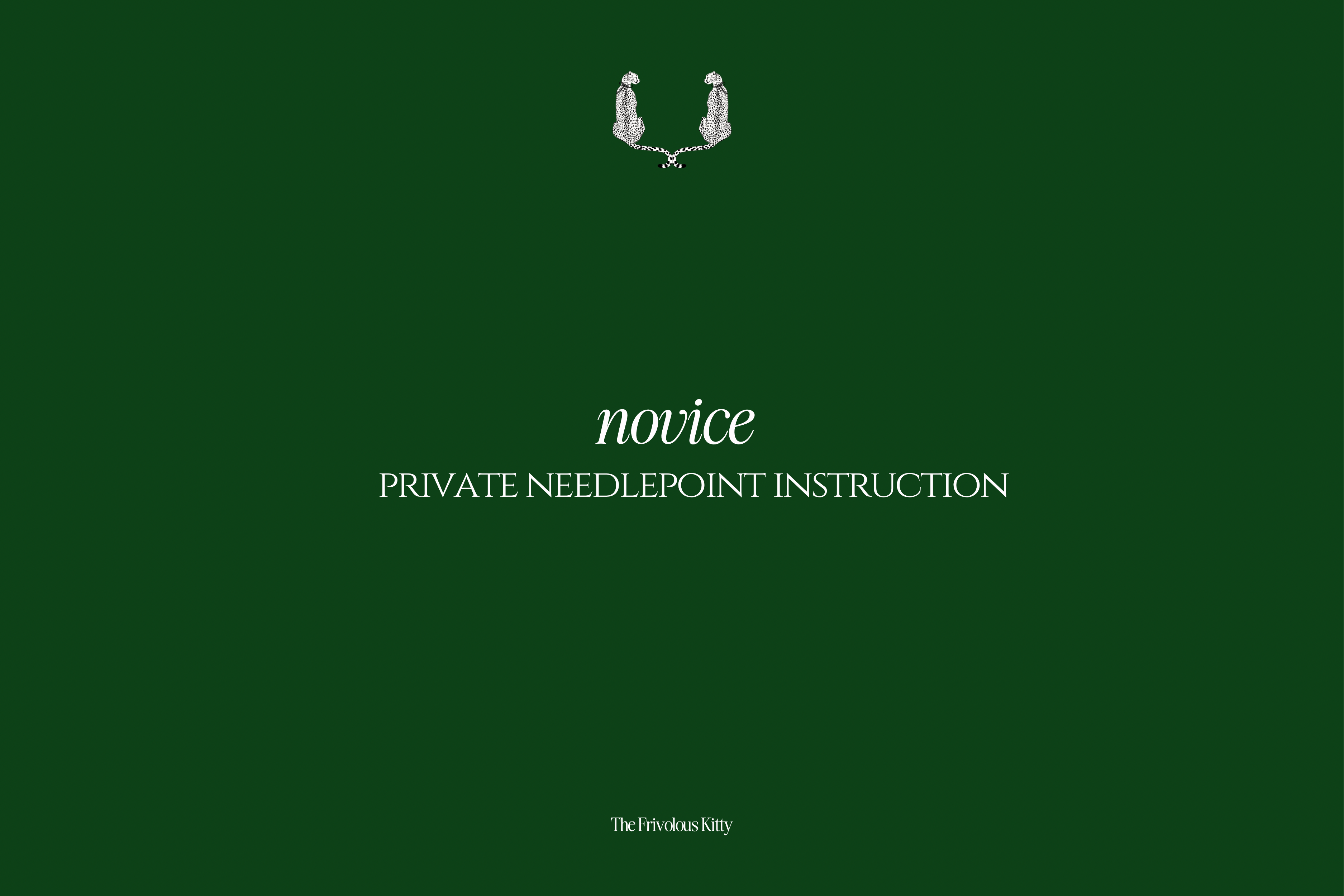 Private Needlepoint Instruction - Novice